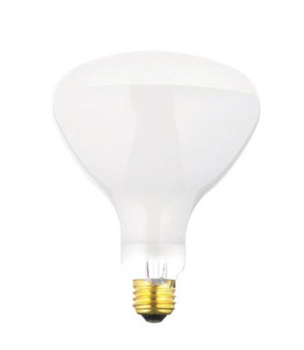 GE Pool And Spa Bulb 500W 130V at Sears.com