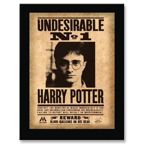 UPC 812370013951 product image for Harry Potter Undesirable No.1 Sign | upcitemdb.com