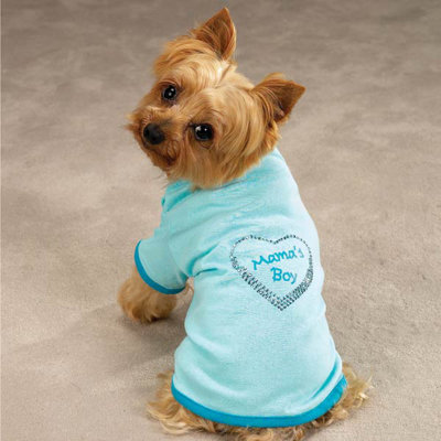 Zack and Zoey Apple of My Eye Dog Tee - Size-See Chart Below: Medium, Style: Daddy's Girl at Sears.com