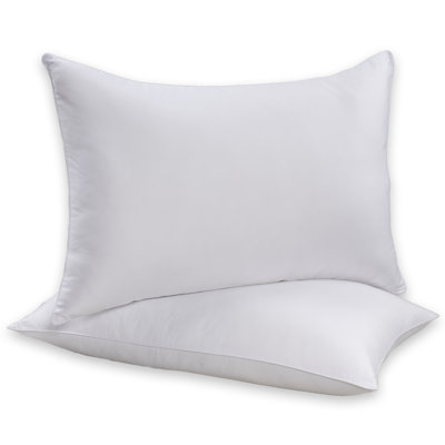 Beautyrest 100% Cotton Allergen Barrier Pillow (Set of 2) - Size: Queen at Sears.com