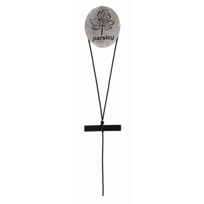 Oval Herb Markers Statue With Parsley price decreased by 56%