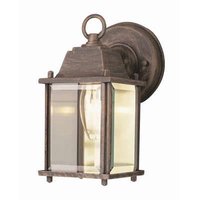 TransGlobe Lighting Outdoor 8"  Wall Lantern - Finish: Black Copper at Sears.com