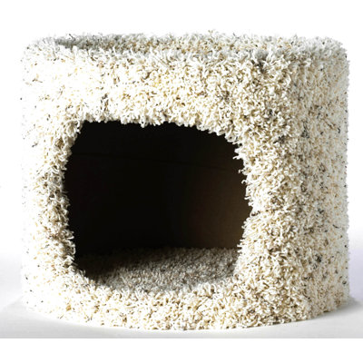 1 Story Us Cat Condo