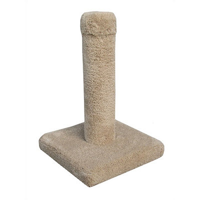 19 Cat Scratching Post With Square Base - Carpet Color: Brown