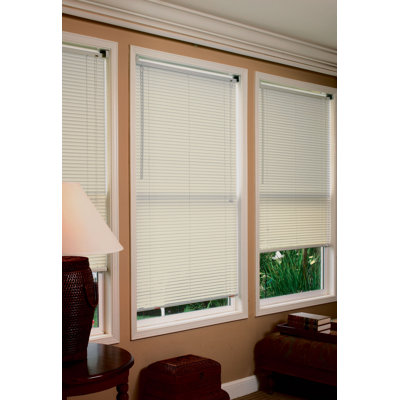 Radiance 1" Premium Room Darkening Mini Blinds in Alabaster - Size: 32"W x 64"L at Sears.com