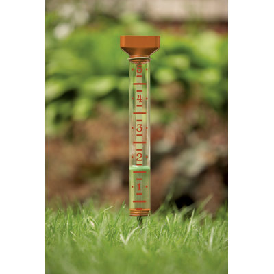 Decorative Ez Read Rain Gauge  Color: Paradise Pink