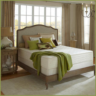 Plush Beds Botanical Bliss 12 Plush Beds Botanical Bliss 12