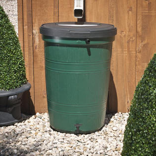 RTS Companies 53 Gallon Rain Collector - Color: Green RTS Companies 53 Gallon Rain Collector - Color: Green