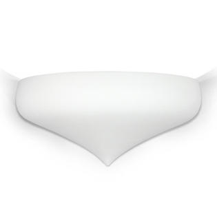 A19 Vancouver Wall Sconce - Finish: Jade Acrylic, Bulb Type: 1-13W Fluorescent A19 Vancouver Wall Sconce - Finish: Jade Acrylic, Bulb Type: 1-13W Fluorescent