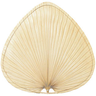 Fanimation Wide Oval-Shaped Palm Leaf Indoor Ceiling Fan Blades (Set of 5) - Size/Finish: 22 Fanimation Wide Oval-Shaped Palm Leaf Indoor Ceiling Fan Blades (Set of 5) - Size/Finish: 22