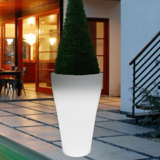 CompassCo Bon Décor Curve Pot Planter CompassCo Bon Décor Curve Pot Planter