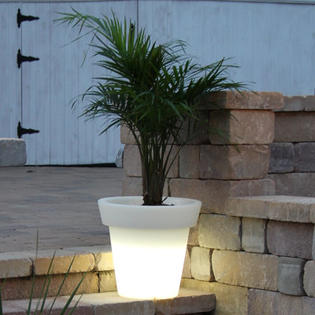 CompassCo Bon Décor Round Illuminated Pot Planter CompassCo Bon Décor Round Illuminated Pot Planter