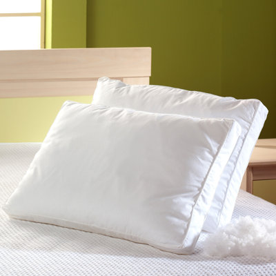 BargooseHome Allergy Care Cotton Pillow Cover - Size: King BargooseHome Allergy Care Cotton Pillow Cover - Size: King
