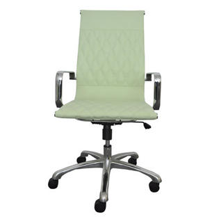 Woodstock Marketing Annie High-Back Executive Office Chair with Arms - Color: Seafoam Woodstock Marketing Annie High-Back Executive Office Chair with Arms - Color: Seafoam
