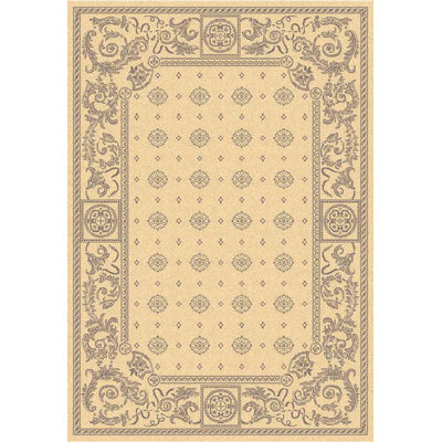 Safavieh Courtyard Natural / Brown Indoor / Outdoor Rug CY1356-3001 - Size: 4' x 5'7" Rectangle at Sears.com