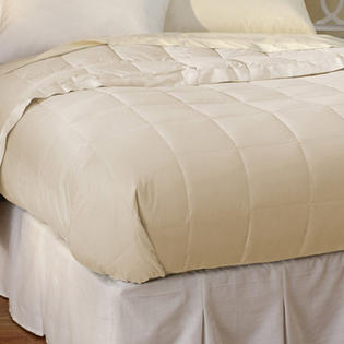 Pacific Coast Feather Down Blanket - Size: Twin, Color: Cream Pacific Coast Feather Down Blanket - Size: Twin, Color: Cream