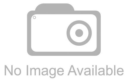 602029501p