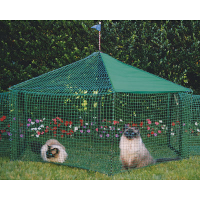 Kittywalk Systems Gazebo Outdoor Pet Enclosure at Sears.com