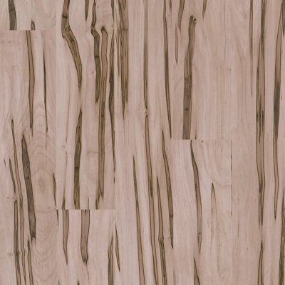 Shaw Floors Echo Lake 8mm Sycamore Laminate in Mount Holly at Sears.com