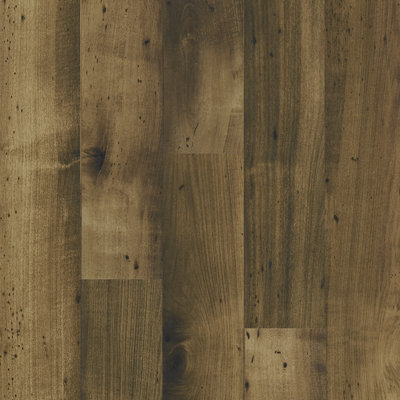 Shaw Floors Left Bank 8mm Maple Laminate in Mount Blanc at Sears.com