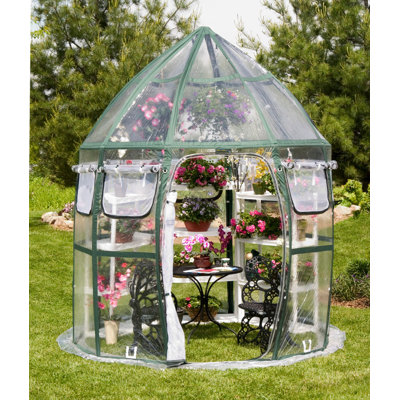 FlowerHouse&nbsp; Conservatory Clear PVC Greenhouse