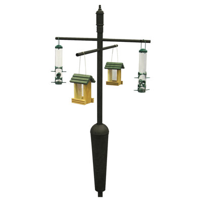 Liberty Products Black Squirrel Stopper with Cardinal