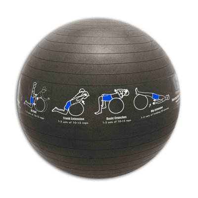 TRAINERbrands Trainer Ball in Grey at Sears.com