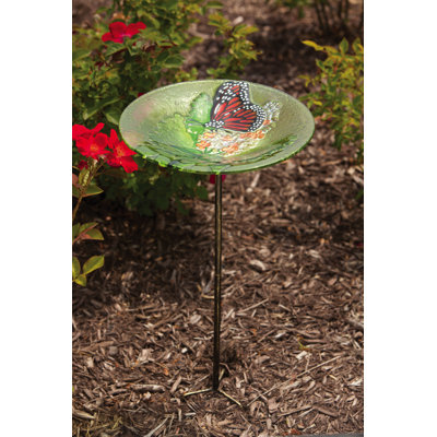 Evergreen Enterprises, Inc Bird Bath Stake Monarch Lilac in Glass at Sears.com