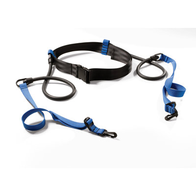 Finis Stationary Cord with Lane Belt at Sears.com