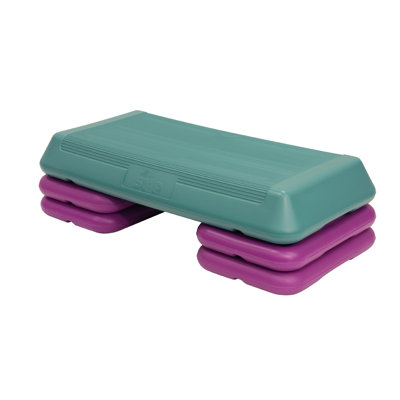 The Step Workout System at Sears.com