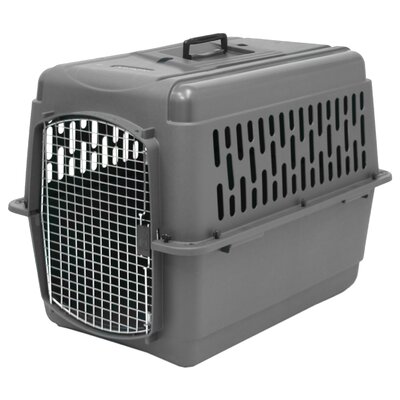 Petmate Porter Traditional Dog Crate, Medium dog kennel