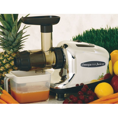 Omega Juicers Multi-Purpose Juicer/Food Processor at Sears.com