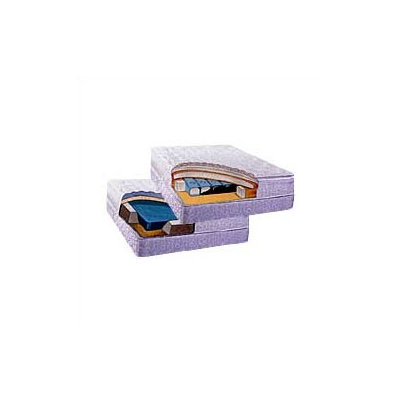 Classic Brands Deepfill Bladder 720 Dual Waveless Kit - Size: Dual Queen at Sears.com