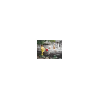 River City Yellow Zodiac 0.1 mm PVC Rain Suit w/ Welded Seams, Snap Front Closure, Detachable Drawstring Hood, Snap Wrists, Snap Ankles, El at Sears.com