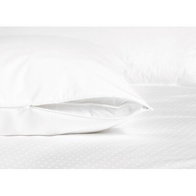 Laura Ashley 450 Thread Count Luxury Down Pillow from Sears.