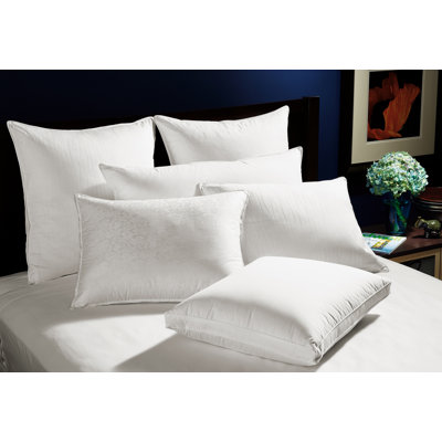 Down Inc. Cambric 230 Thread Count 90% White Duck Feather and 10% Snow White Down Sleeping Pillow - Size: King at Sears.com