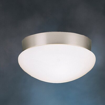 Ceiling Space Flush Mount in Brushed Nickel