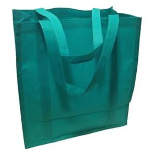 Carrygreen 250 pcs - Non Woven Large Reusable Grocery Shopping Bags- After Christmas Sale Carrygreen 250 pcs - Non Woven Large Reusable Grocery Shopping Bags- After Christmas Sale