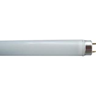 West End Lighting WEL-T8-120F-252CW 4-Foot T8 252 LED UL Classified Tube Light with Frosted Cover, 15-Watt Cool White West End Lighting WEL-T8-120F-252CW 4-Foot T8 252 LED UL Classified Tube Light with Frosted Cover, 15-Watt Cool White