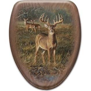 Comfort Seats C1B2E1-759-17CH First Light Elongated Toilet Seat with Chrome Alloy Hinge, Oak Comfort Seats C1B2E1-759-17CH First Light Elongated Toilet Seat with Chrome Alloy Hinge, Oak