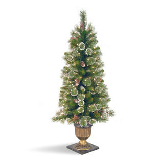 National Tree Co. Glittery Pine 4' Green Entrance Artificial Christmas Tree with 150 Pre-Lit Clear Lights with Urn Base National Tree Co. Glittery Pine 4' Green Entrance Artificial Christmas Tree with 150 Pre-Lit Clear Lights with Urn Base