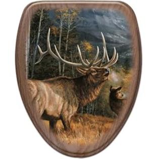 Comfort+Seats Comfort Seats C1B2E1-705-17BN Meadow Music Elongated Toilet Seat with Brushed Nickel Alloy Hinge, Oak Comfort+Seats Comfort Seats C1B2E1-705-17BN Meadow Music Elongated Toilet Seat with Brushed Nickel Alloy Hinge, Oak