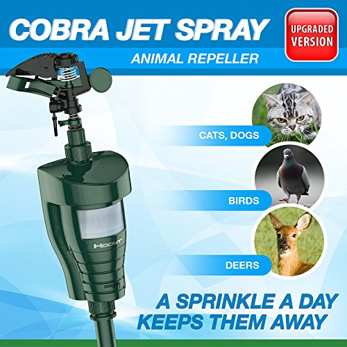 ™ Cobra Powerful Outdoor Water Jet Blaster Animal Pest Repeller - Motion  Activated - Expels Cats Dogs Squirrels
