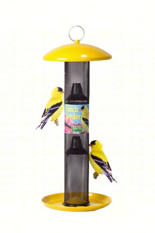 Yellow Straight Sided Finch Feeder