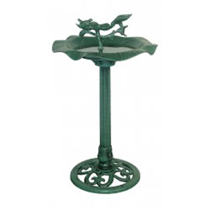 Bird Bath