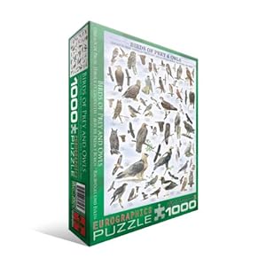 EuroGraphics Birds of Prey and Owls 1000-Piece Puzzle at Sears.com