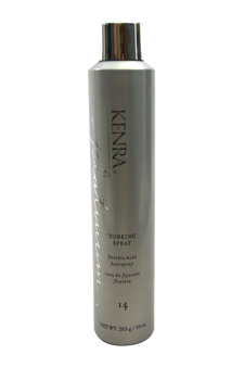 UPC 014926063100 product image for Platinum Working Spray # 14 Flexible Hold Hairspray 10 oz Hair Spray for Unisex | upcitemdb.com