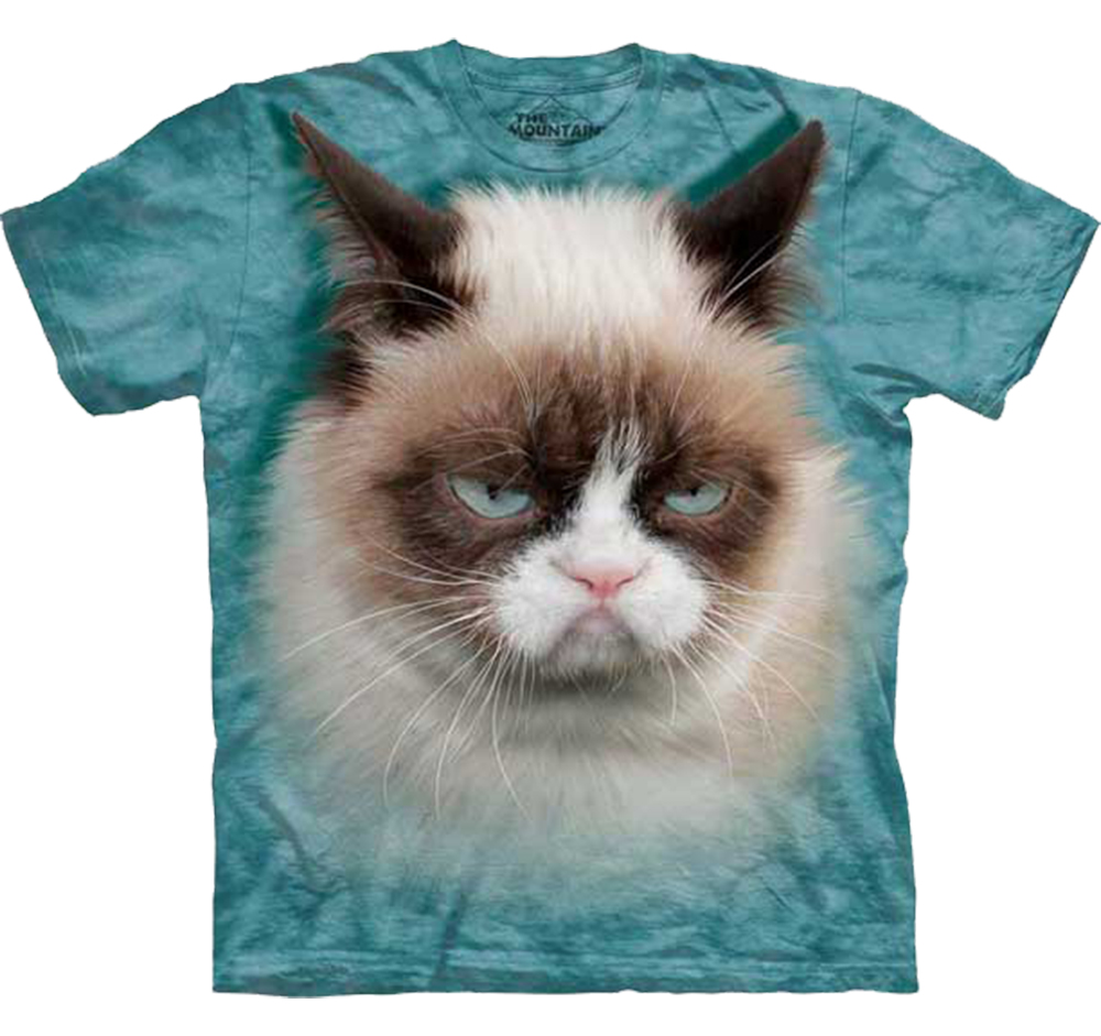 UPC 885361000209 product image for 3688 Grumpy Cat | upcitemdb.com