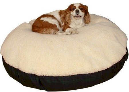 Snoozer Dog Supplies Snoozer Round Sherpa Top Dog Bed - Extra Large - Red at Sears.com