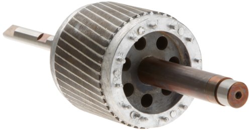 Hayward RCX4129CL 3/4-Horsepower Leeson Rotor Shaft Replacement for Hayward Kingshark2 Commercial Cleaner